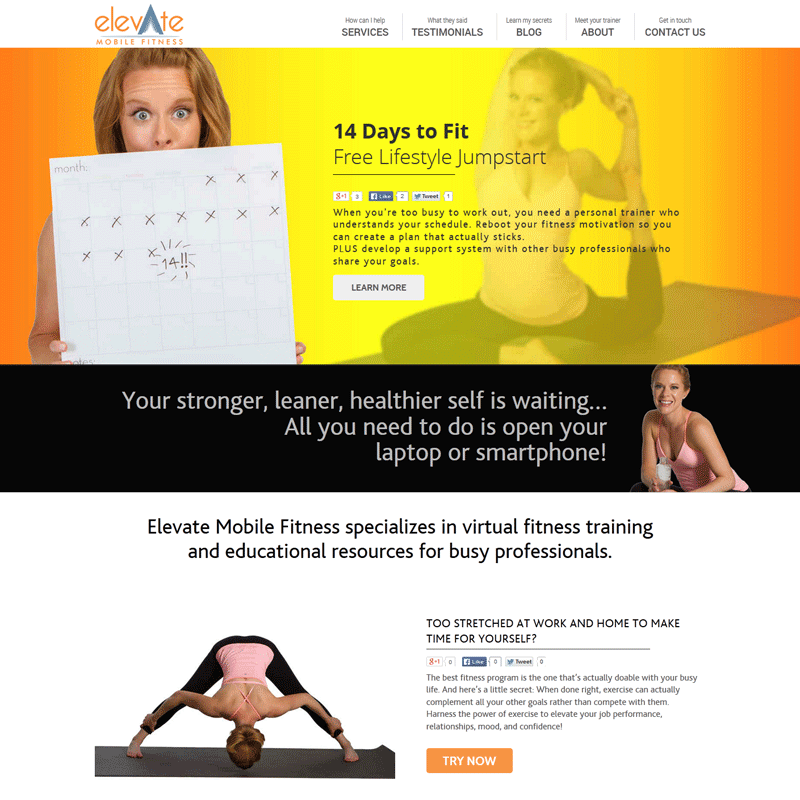 Most Downloaded WordPress Theme on ThemeForest