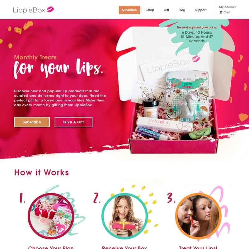 Top 10 CrateJoy Website Design-lippie box